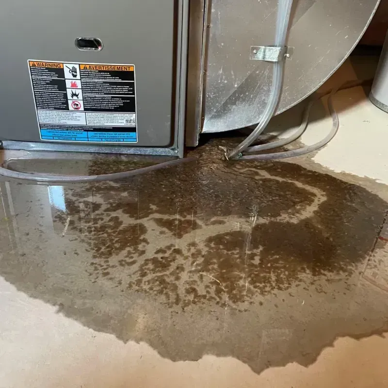 Appliance Leak Cleanup in Kotzebue, AK